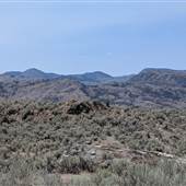 PENDERGRAFT DESERT LAND