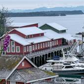 Killer Whale Cafe and Pub