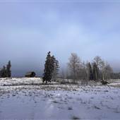 GGM Farm House, Heritage Cabin & Barn near Little Heffley Lake - Winter