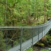 Sooke Hills Wilderness Trail Suspension Bridge