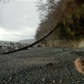 Muir Creek Beach
