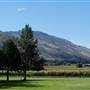 Privato Vineyard & Winery and Woodward Cider Co.
