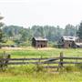 Hillcrest Homestead