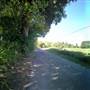 Raines Road