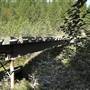 Mohun Creek Falls (Mohun Creek Falls Access)
