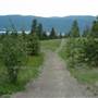 SPION KOP TRAILS