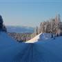 CAMP McKINNLEY RD ( Winter )