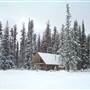 Lac Du Bois WINTER Hockey rink and cabins