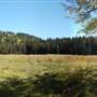 Chartrand Loop Field 2