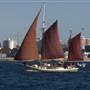 Thane Tall Ship