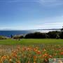 Saxe Point Park