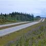 Highway 19 Jubilee to Willis Rd. Northbound