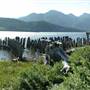 Nimpkish Lake