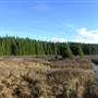 Lawier Lake
