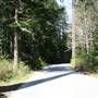 Franklin River Road