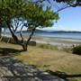 Hollyhock (Hollyhock Beach)