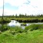 Marshwood Estate Winery (Marshwood Estate Marsh)
