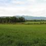 Mikeerri Farm