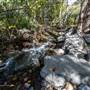 Peterson Creek Nature Park - Creek - Fall Colours