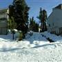 Comox Valley Hallmark Xmas