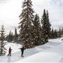 Stake Lake WINTER