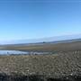 Witty's Lagoon Regional Park
