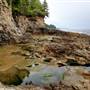 Botanical Beach Provincial Park