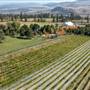 Privato Vineyard & Winery - Entrance, Gardens, Vineyard