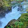 Little Qualicum Falls Provincial Park