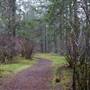 Miracle Beach Provincial Park Trails