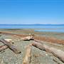 Nile Creek Beach