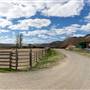 Kelly Ranch
