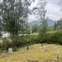 Port Alice Cemetery