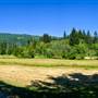 Thompson Open Fields 3/5