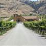 ADEGA WINERY