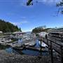 Telegraph Cove Marina