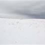 *DLR Stewart Field Grasslands WINTER & SUMMER