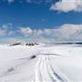 Kullagh Road Grasslands - Newman Dam & Log Barn 04 MARCH