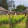 Deep Cove Winery