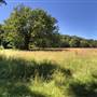 *Shelter Point Farm - Property on Oyster River