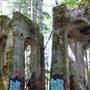 Site No. 8 Mine Ruins