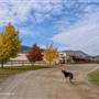 Sun Meadows Equestrian Centre