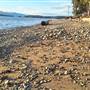 Welcome Beach