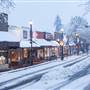 Courtenay Downtown Snowfall