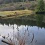 Morrell Lake Powerline Dam