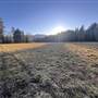 300 Acres with Walk on Waterfront