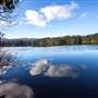Maple Lake