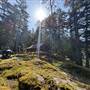 Shawnigan Lake Cabins