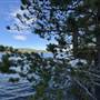 Shawnigan Lake Cabins