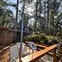 Shawnigan Lake Cabins